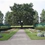 Edgwarebury Park