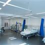 Guy's and St Thomas' Hospitals