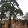 Sidcup Manor House