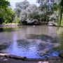 The Tarn