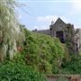 Hall Place and Gardens