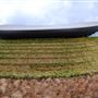 London Aquatics Centre (QEOP)
