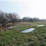 Fairlop Waters