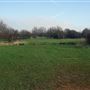 Fairlop Waters
