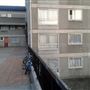 Green Man Lane Estate