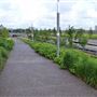Queen Elizabeth Olympic Park - South Park General Areas (QEOP)