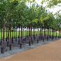 Queen Elizabeth Olympic Park - South Park General Areas (QEOP)