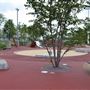 Queen Elizabeth Olympic Park - South Park General Areas (QEOP)
