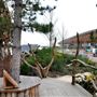 Tumbling Bay Playground (QEOP)