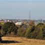 Mitcham Common