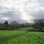 Arrandene Open Space