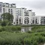 Heybourne Park
