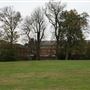 The Mill Field