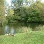 Totteridge Ponds