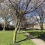 Grove Hall Park