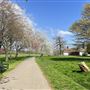 Eltham Park South