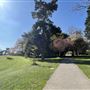 Avery Hill Park
