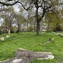 Waring Park