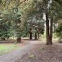 Lamorbey Park