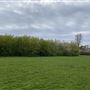 Marlborough Park