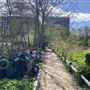 Camley Street Natural Park