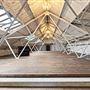 Studio Jones London