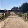Honeybee Farm