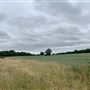 Runaway Farm