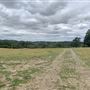 Waddle Farm