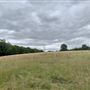 Waddle Farm