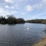 Wanstead Park