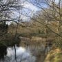 Wanstead Park
