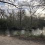 Wanstead Park