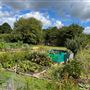 Grange Lane Allotments