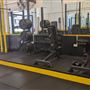Elite Evolution Gyms - Islington
