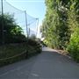 London Zoo