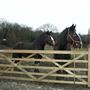 Woodlands Farm