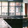 Brunel University