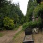 Abney Park Cemetery
