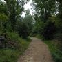 Abney Park Cemetery