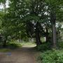 Abney Park Cemetery