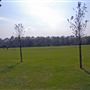 Battersea Park