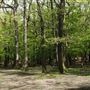 Grovelands Park