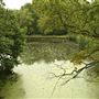 Hampstead Heath