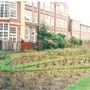 Walpole Park