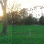 Arundel & Elgin Communal Gardens