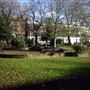 Arlington Square