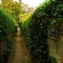 Hampstead area