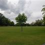 Clissold Park