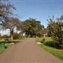 Mountsfield Park